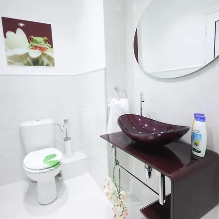 Penthouse Suites Rakovska * Sofia