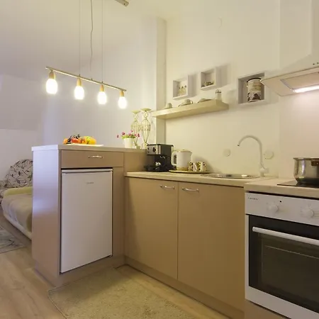 Penthouse Suites Rakovska Apartment
