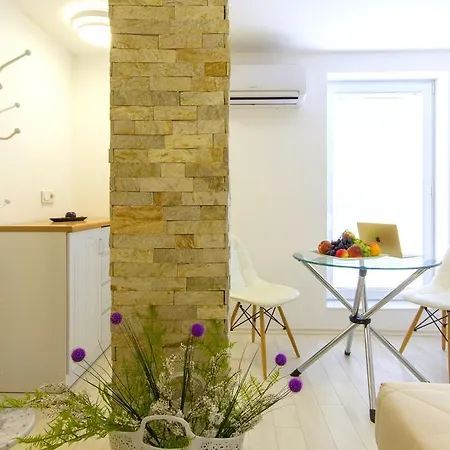 Penthouse Suites Rakovska Apartment